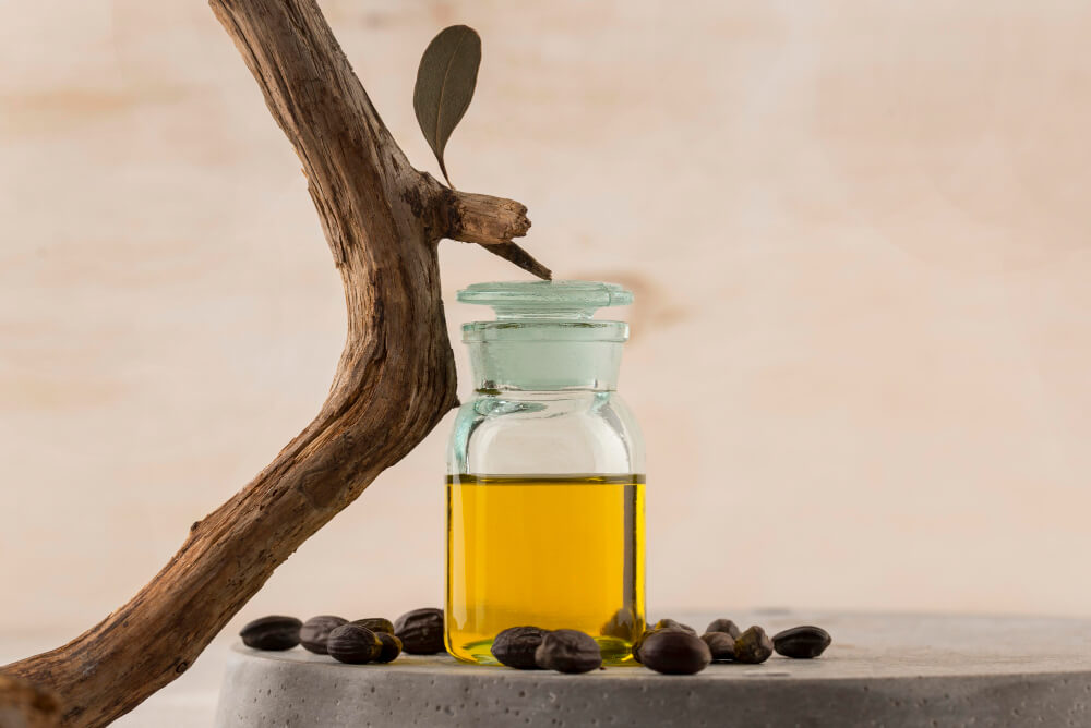 L'huile de jojoba : l'or végétal pour une beauté inspirée par la nature 2