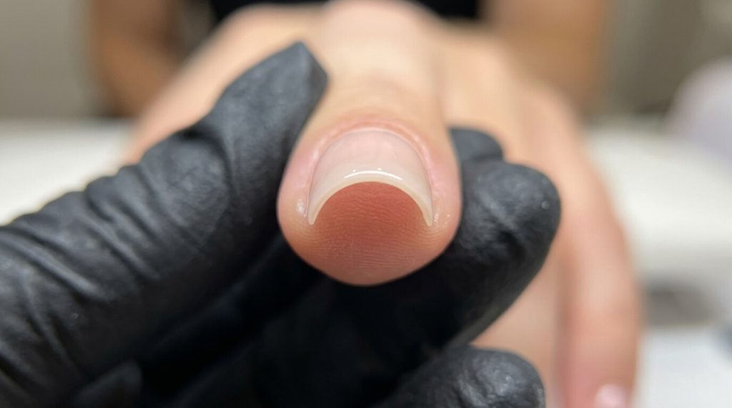 Vue de face d'un ongle artificiel affichant une courbe en C symétrique et régulière.